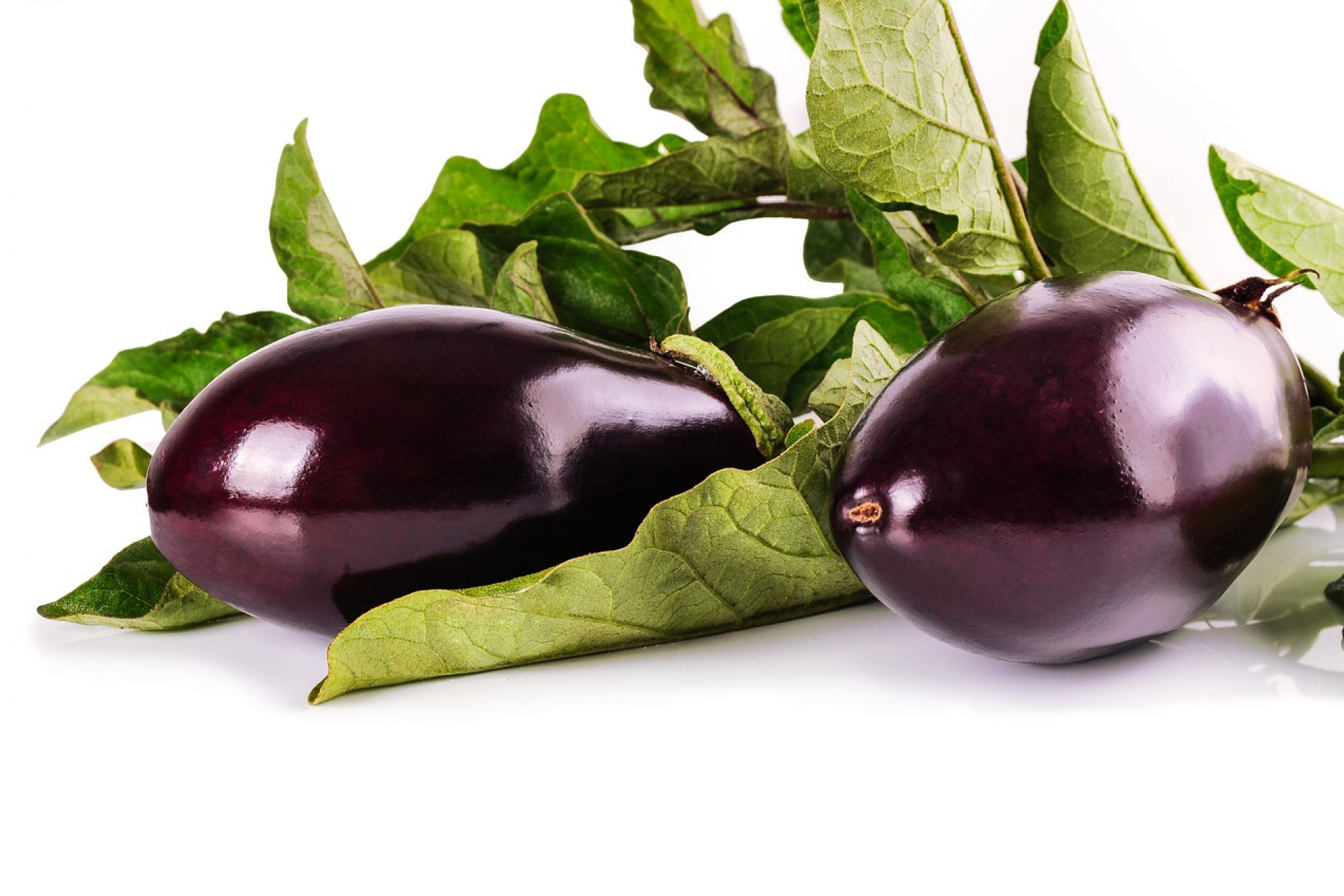 Padlizsán – az őszi tápláló zöldség antioxidánsokkal